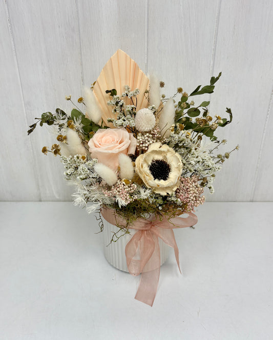 Preserved Pretty Pastel