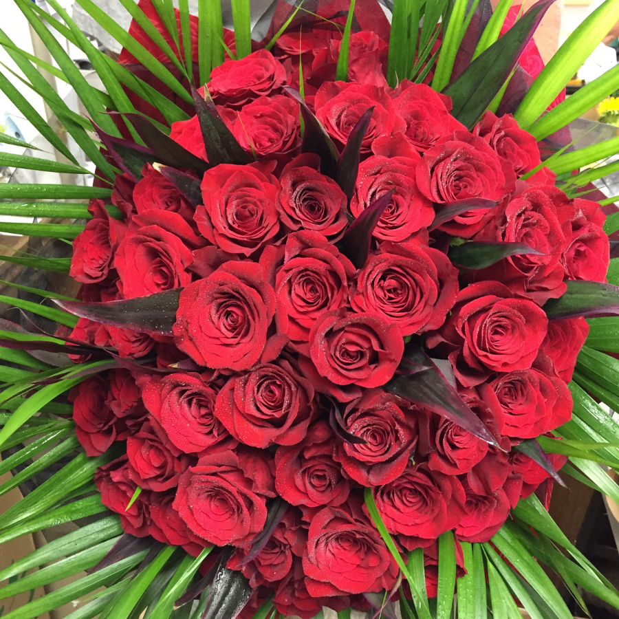 Fabulous 50 Red Roses | Grand Romantic Gesture | WILDbella Florist Waikato