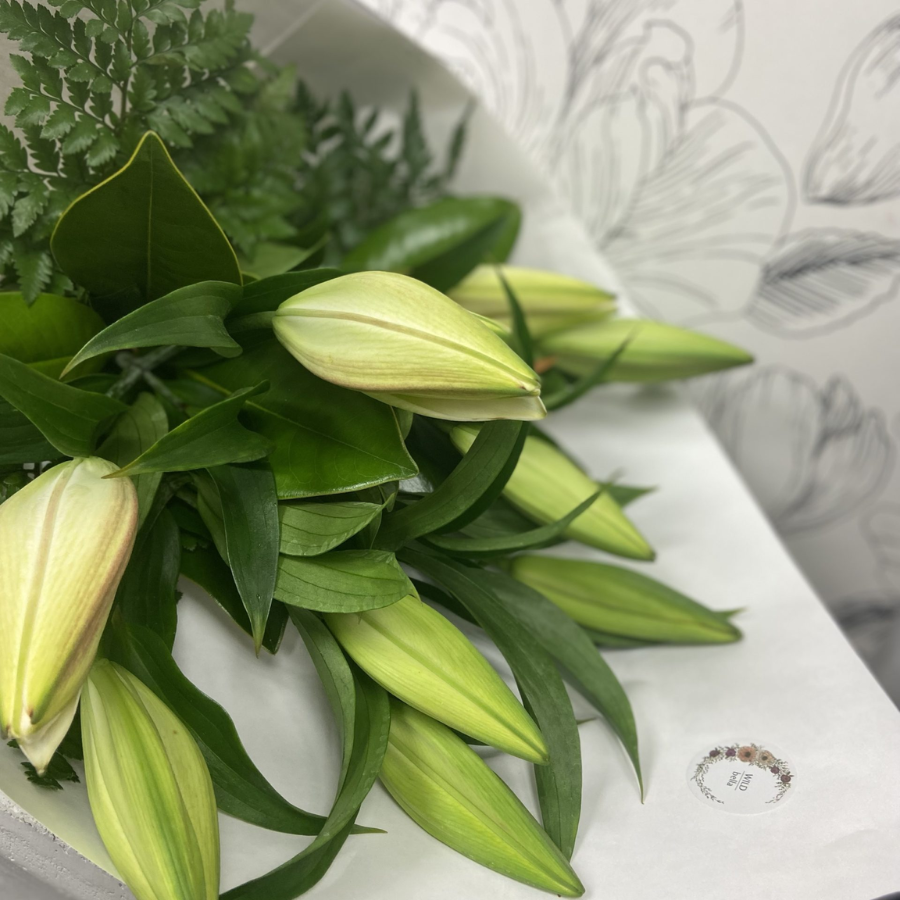 Fresh White Lilies | Long-Lasting Elegance | WILDbella Florist Waikato