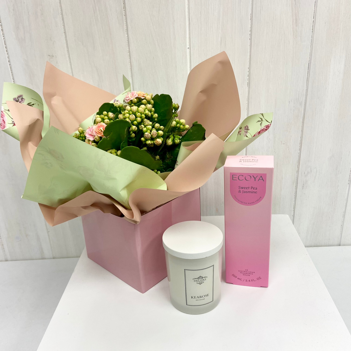 Pretty Plant with Candle and Hand Cream