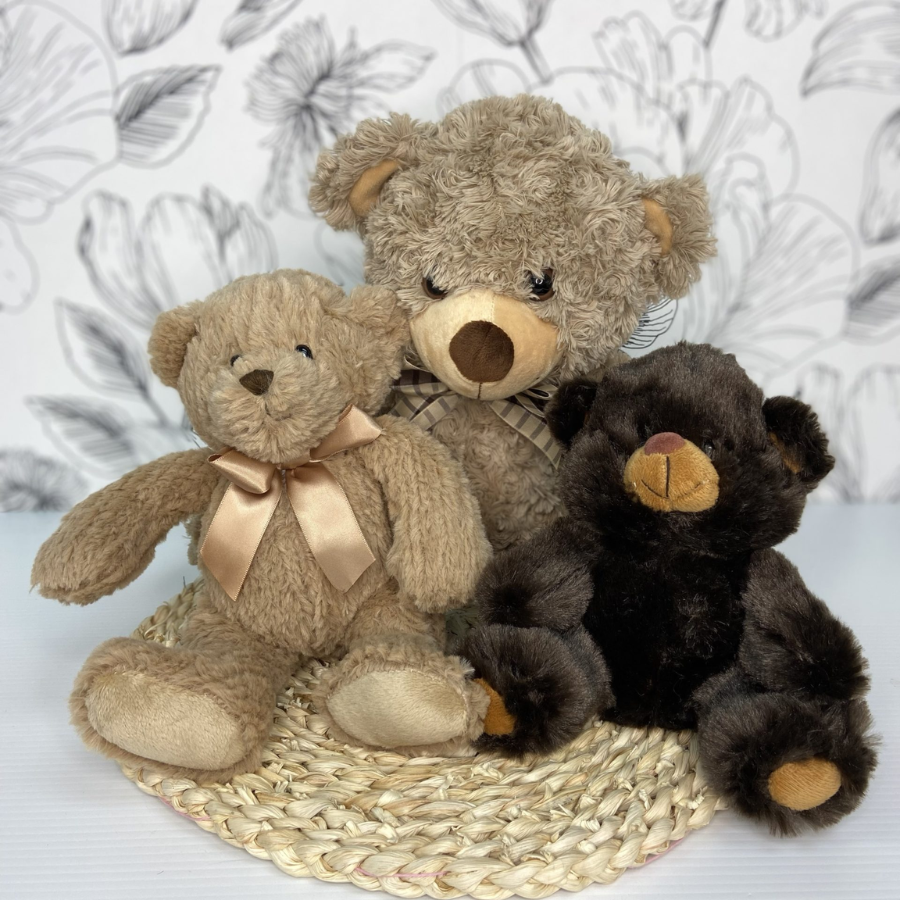 Soft Teddy Bear | Perfect Cuddly Companion | WILDbella