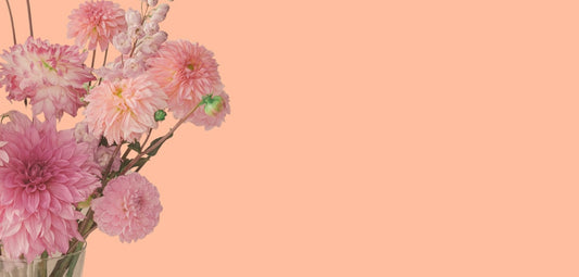 No Add Ons Today Thanks!